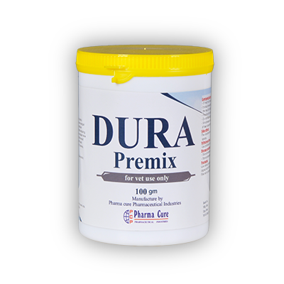 dura premix copy detalis