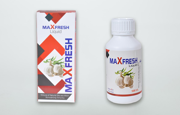 Max Fresh