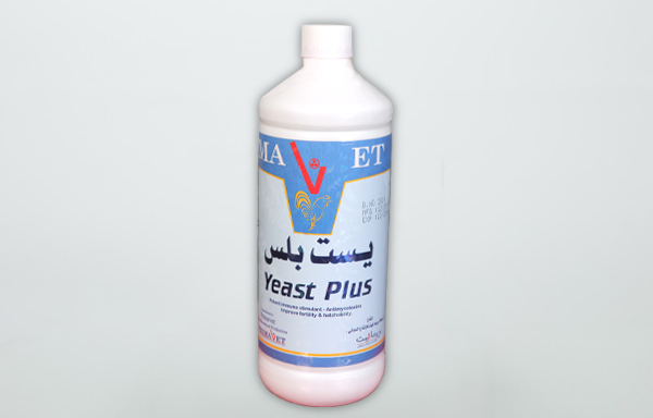 Yeast plus